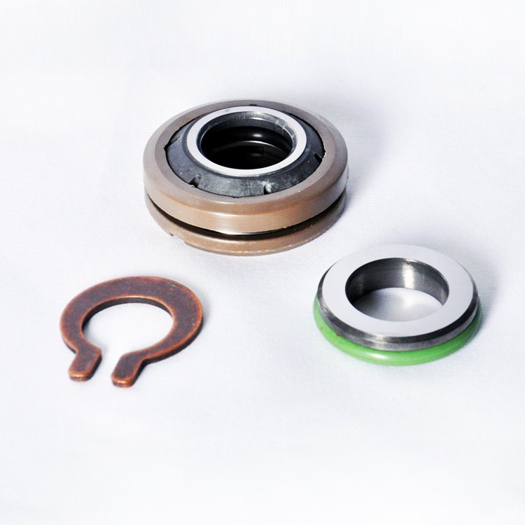 Flygt 3085 pump mechanical seal replacement front view